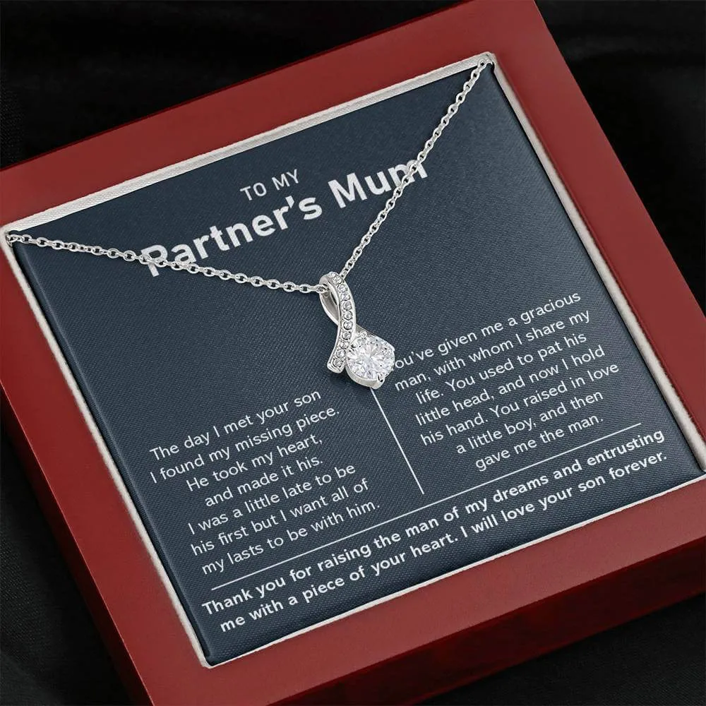 To My Partner's Mum-Alluring Necklace-Silver