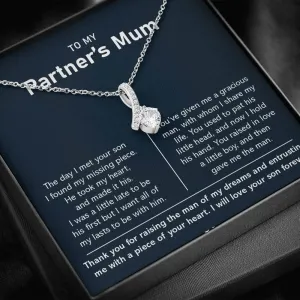 To My Partner's Mum-Alluring Necklace-Silver